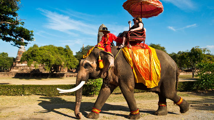 http://www.voyages-en-thailande.com/share_image/1861/thailande_ayutthaya_balade_elephants.jpg